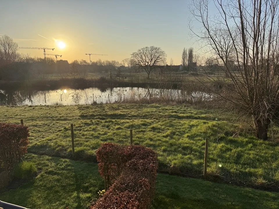 Zicht over de tuin en de vijver bij zonsondergang