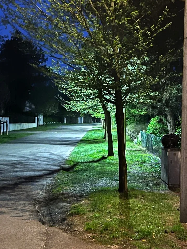 Verlichte straat